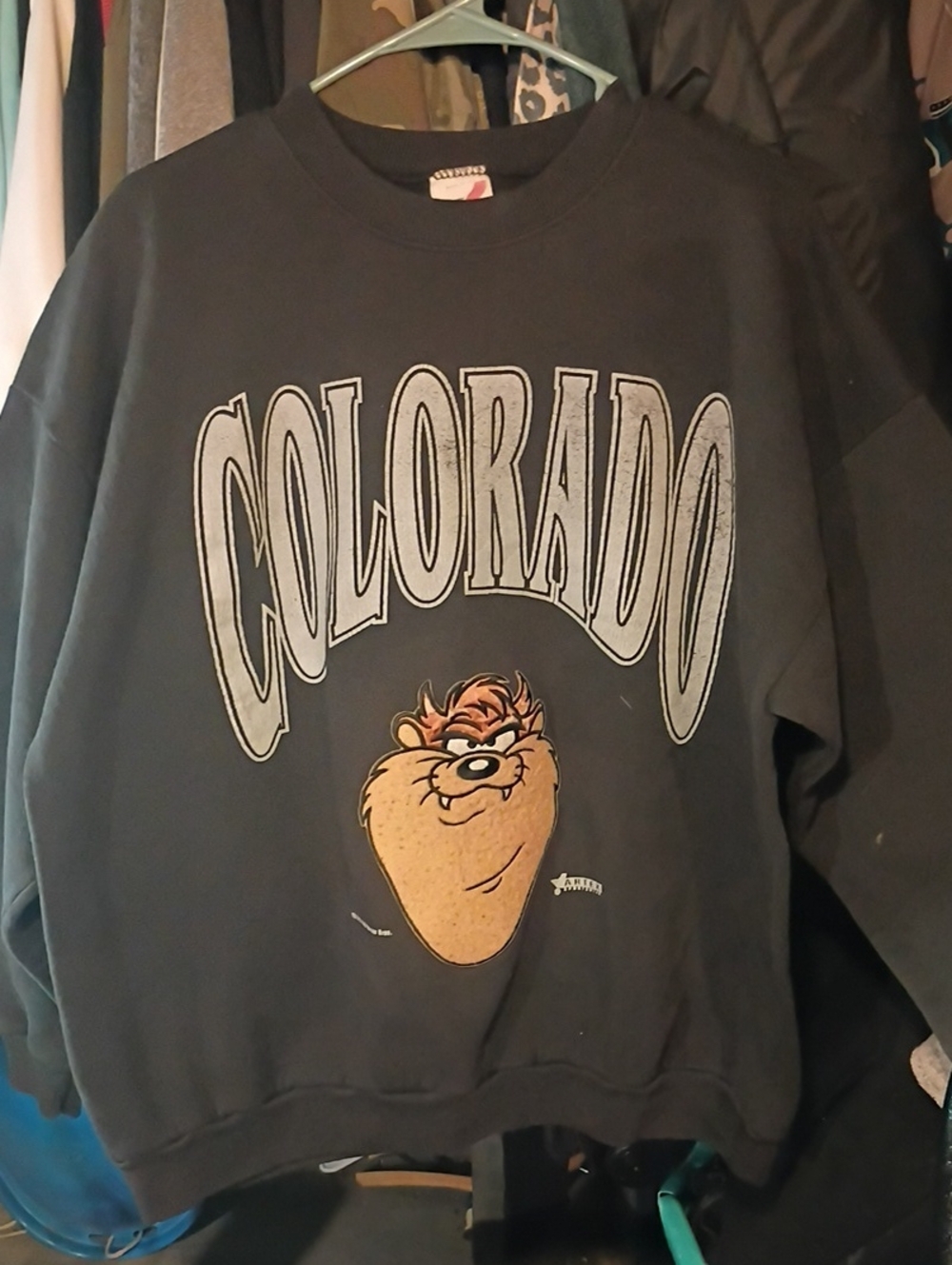 Vintage Artex Sportswear Taz Sweatshirt